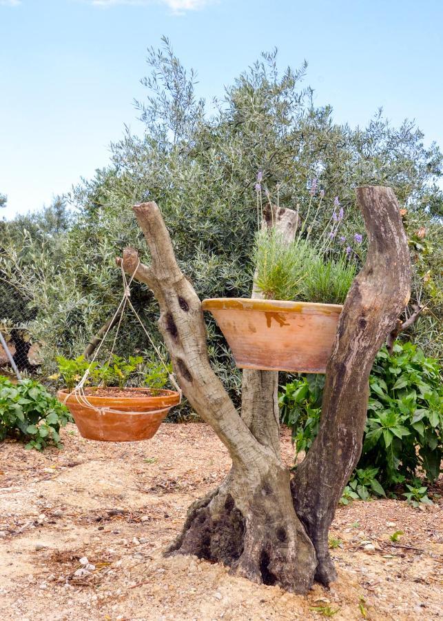 El Tejar Viejo Country house